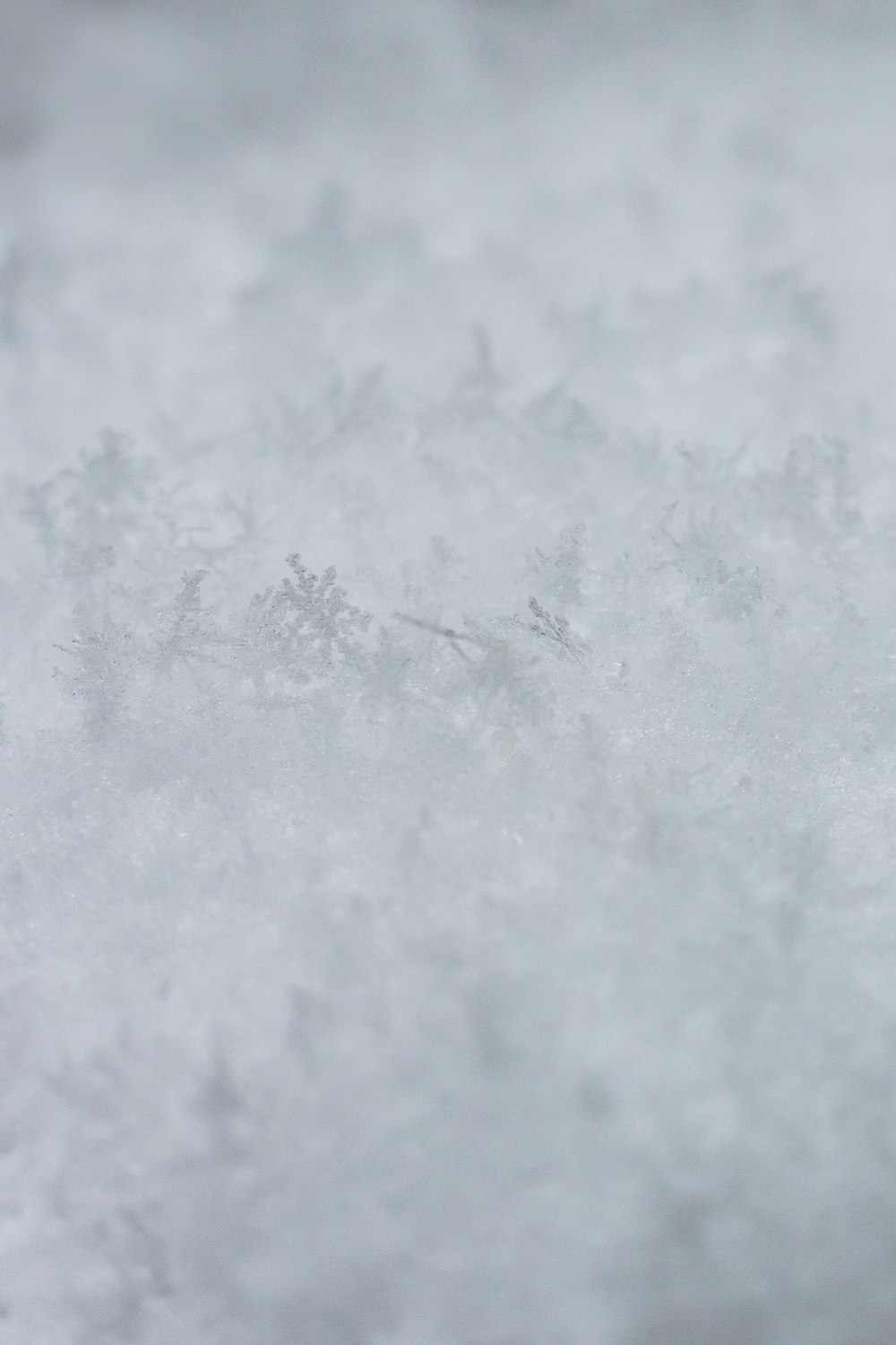 white snow on brown wooden table