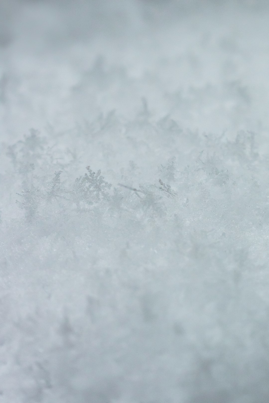 white snow on brown wooden table