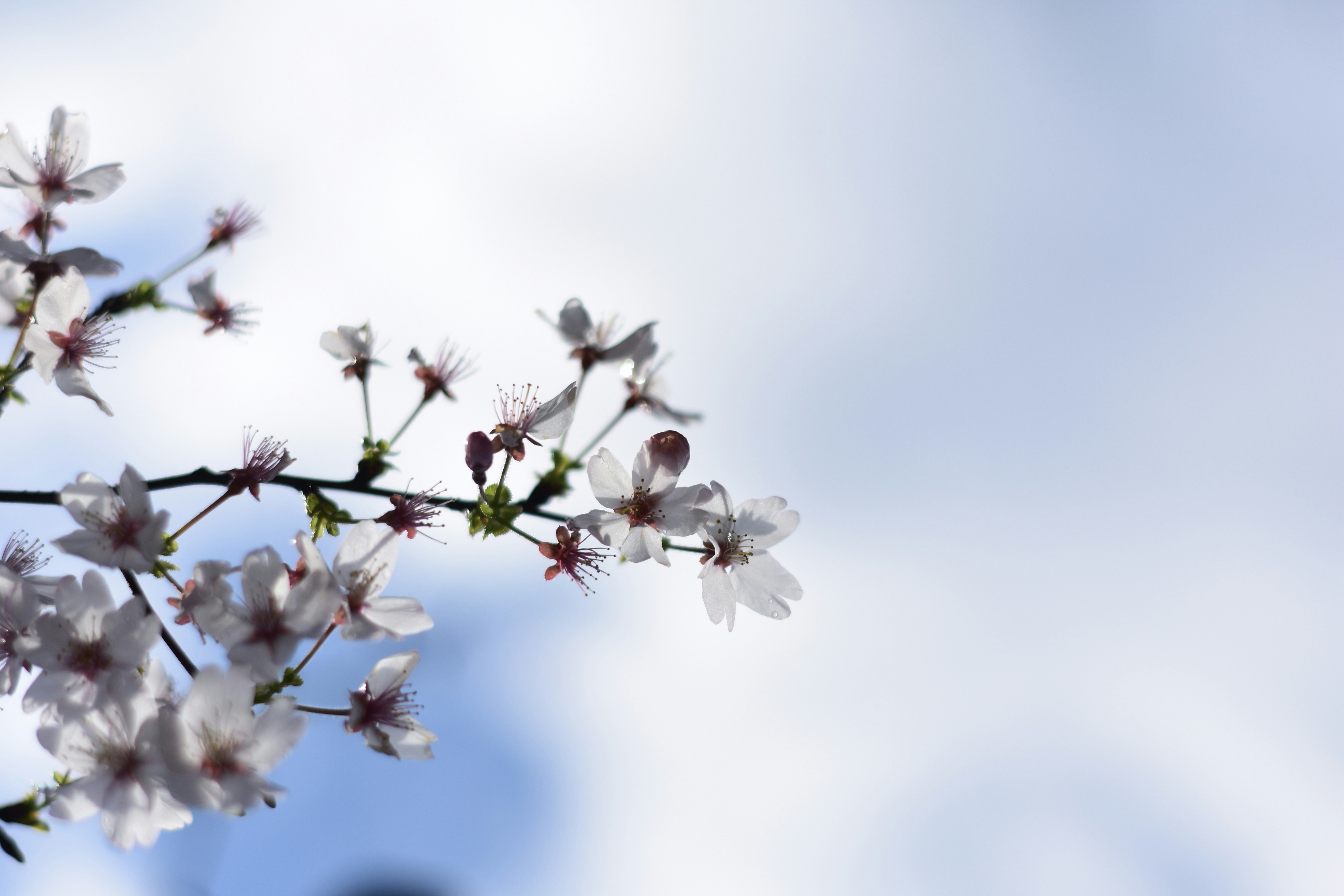 Photo by gregorio_nico