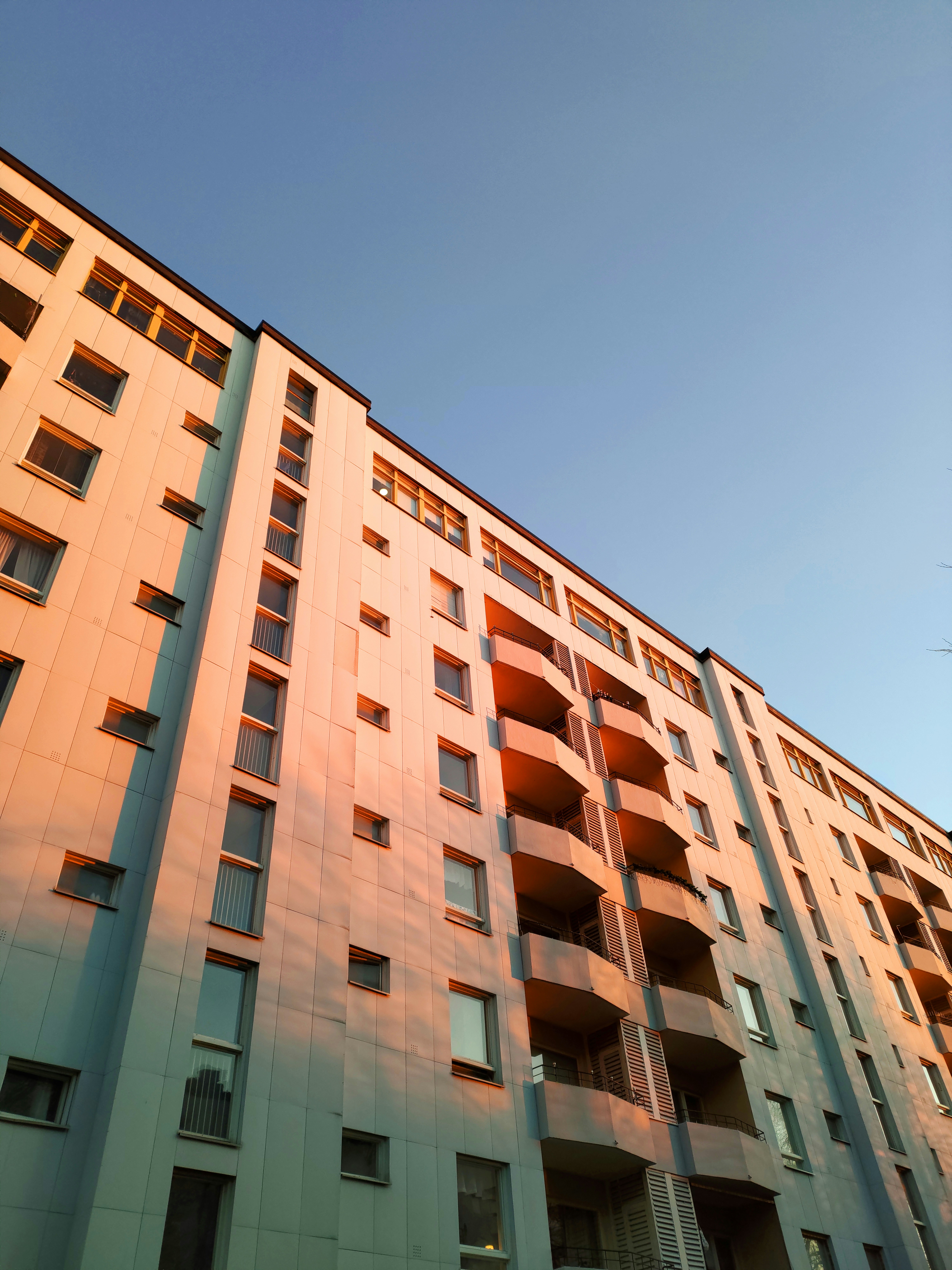 Photo by lindawolfbard