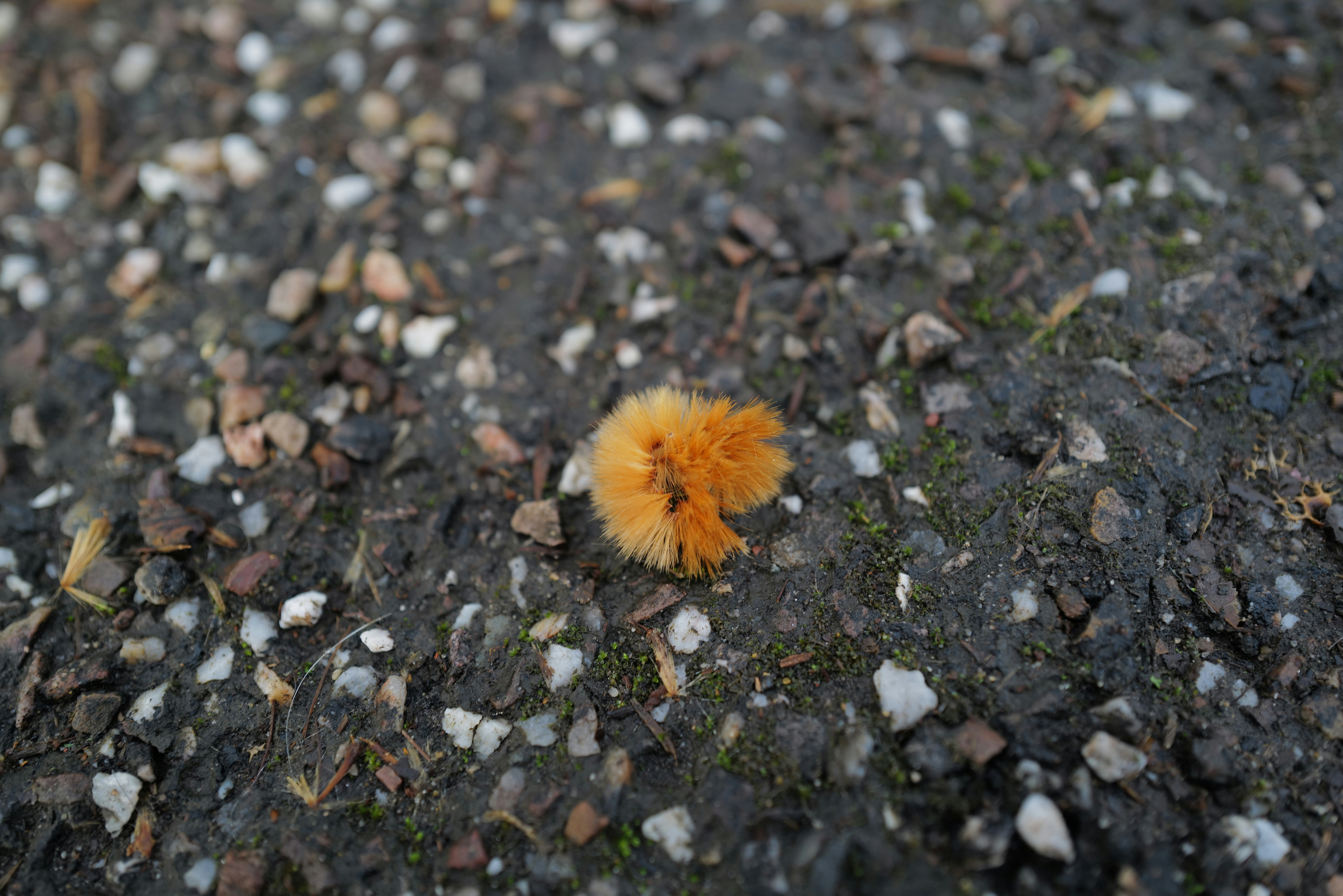 Photo by humakabakci