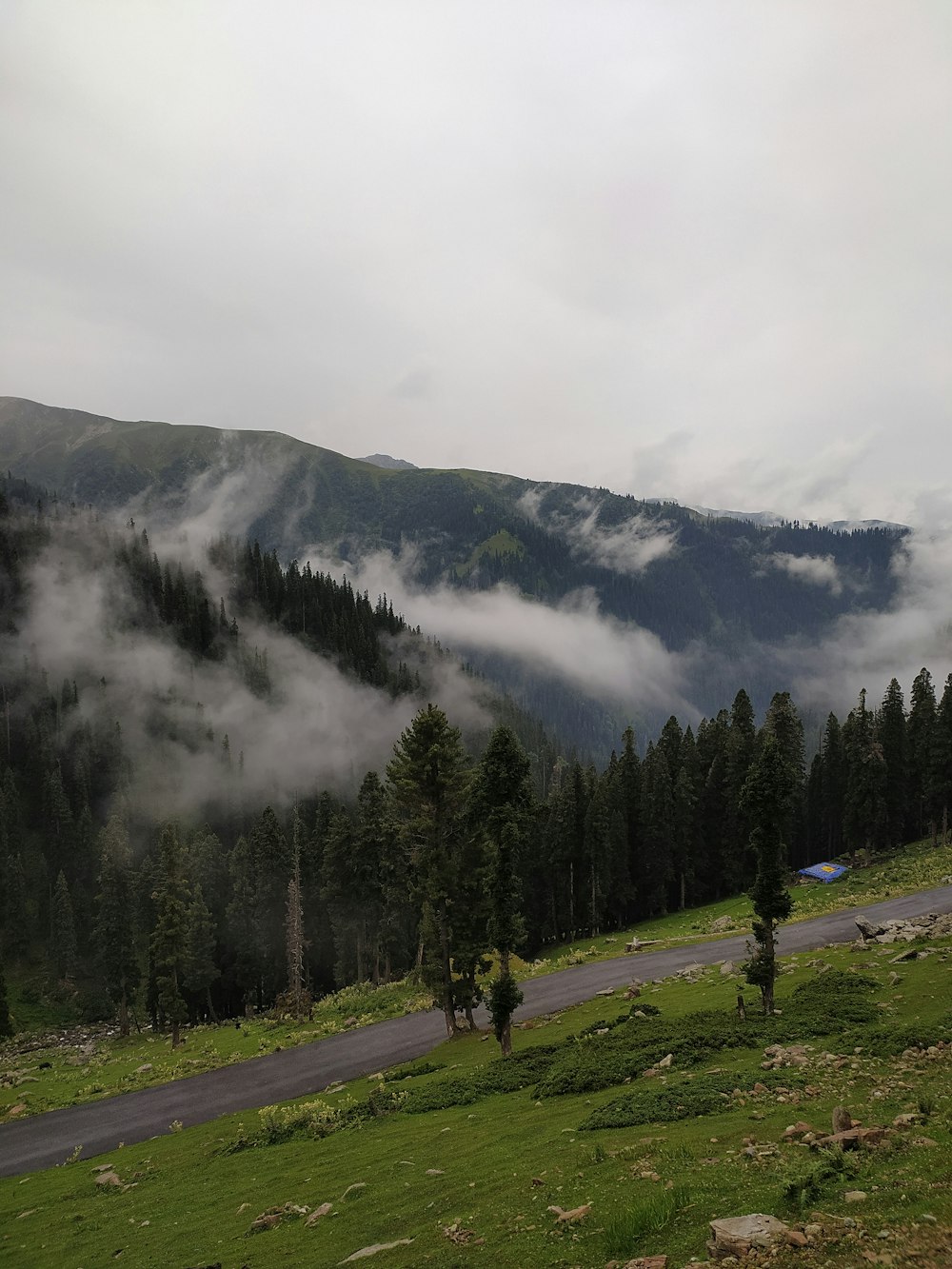 green pine trees near mountain under white clouds during daytime