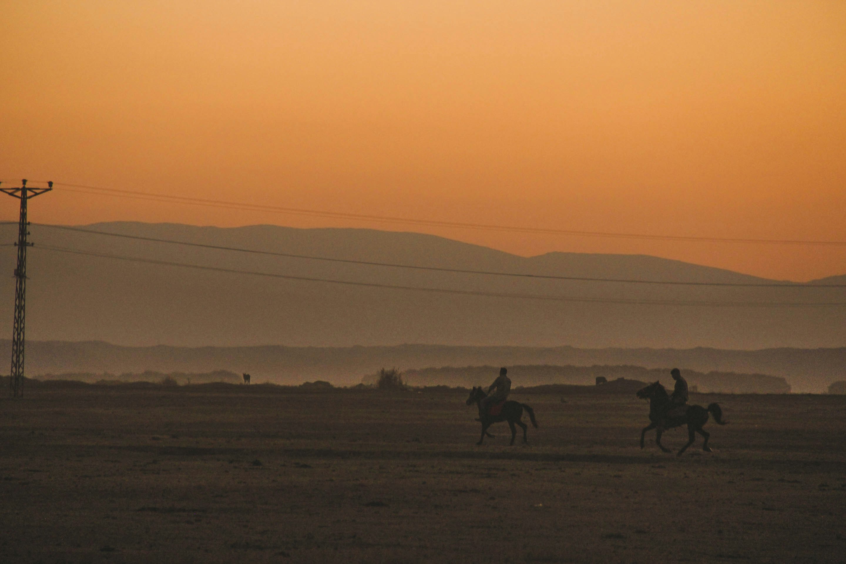 silhouette of people riding horses on brown field during daytime
