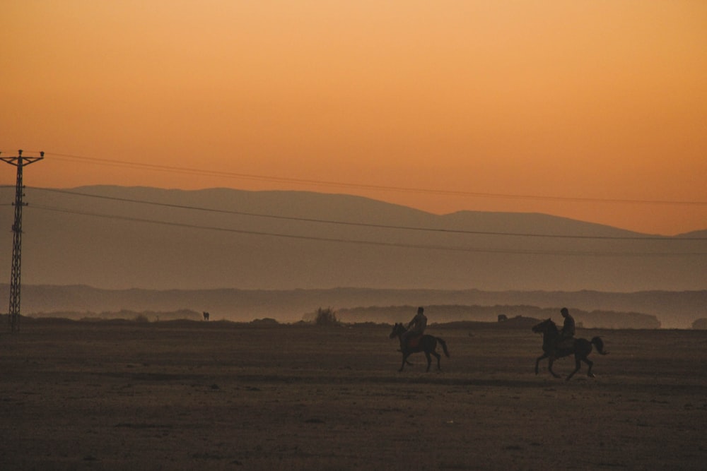 silhouette of people riding horses on brown field during daytime