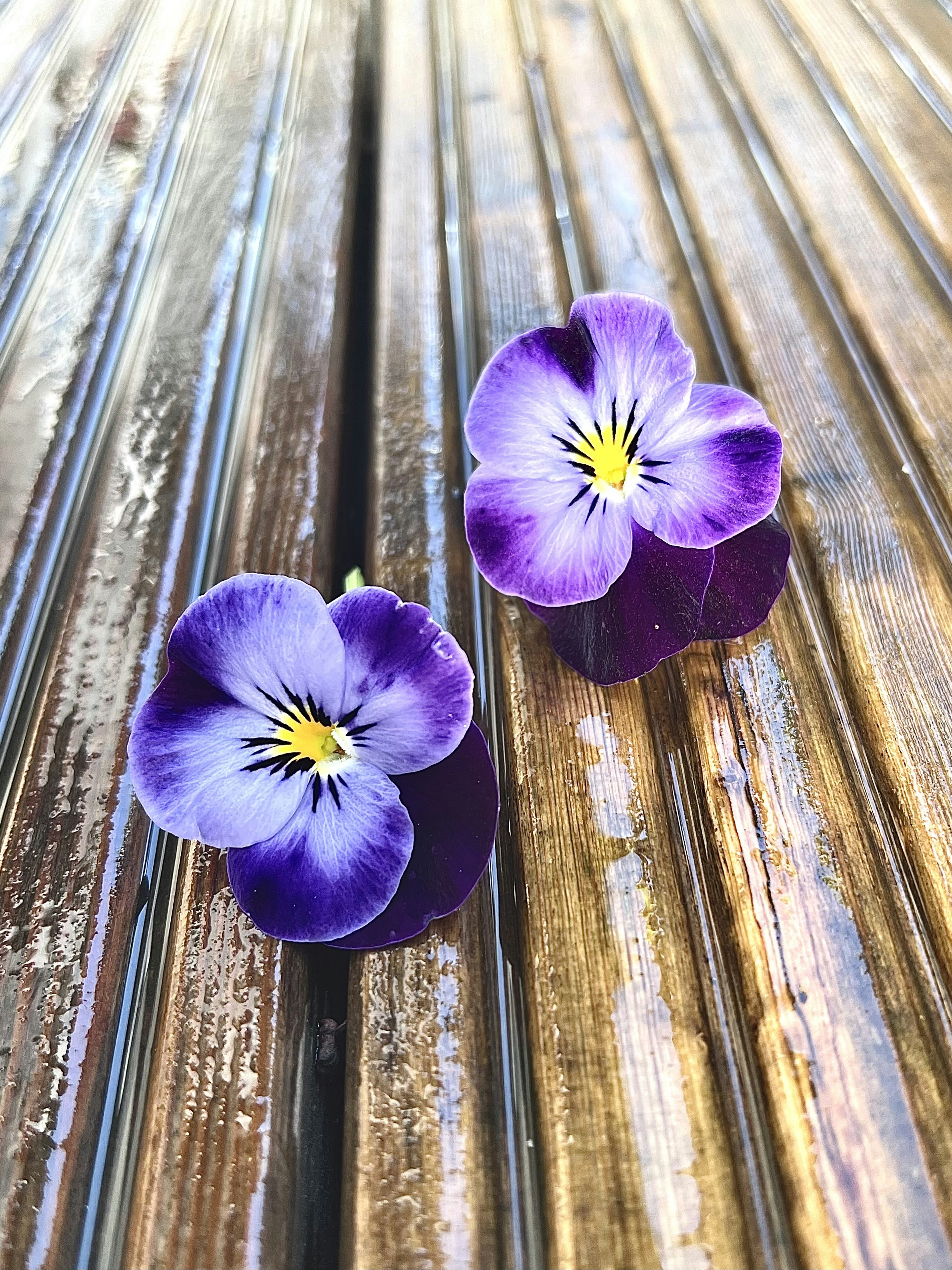 Interleaving: Why Mixed Practice Outperforms Blocked Practice