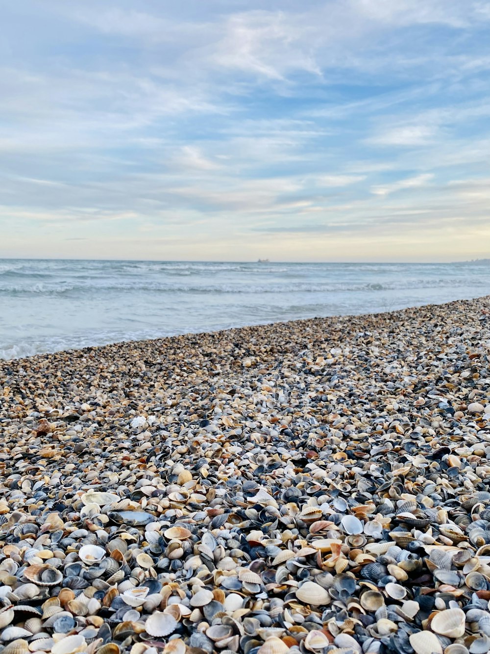 graue und weiße Kieselsteine an der Küste während des Tages