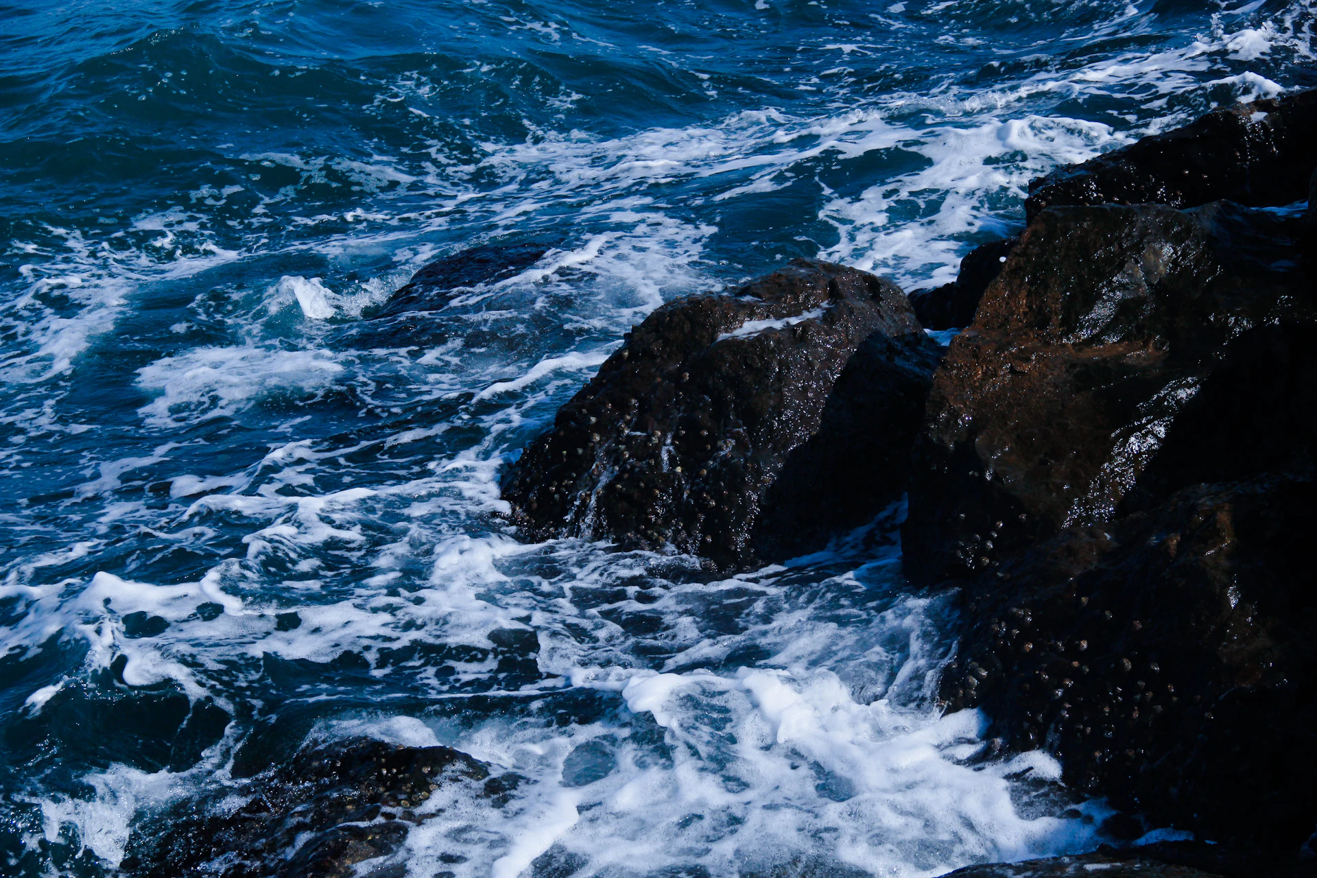 ocean waves crashing on rocky shore during daytime