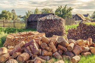 Cozy woodpile stacked neatly beside a rustic cabin in a forest clearing.