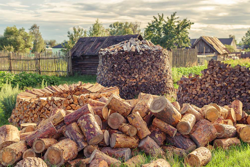 Cozy woodpile stacked neatly beside a rustic cabin in a forest clearing.