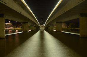 gray concrete bridge over river during daytime