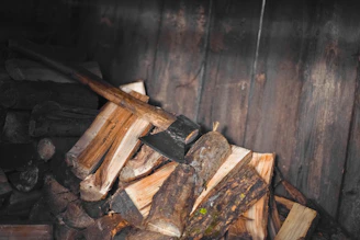 A sleek APS firewood splitter displayed against a natural forest backdrop, emphasizing eco-friendly design.