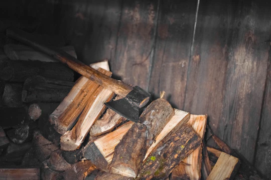 A sleek APS firewood splitter displayed against a natural forest backdrop, emphasizing eco-friendly design.