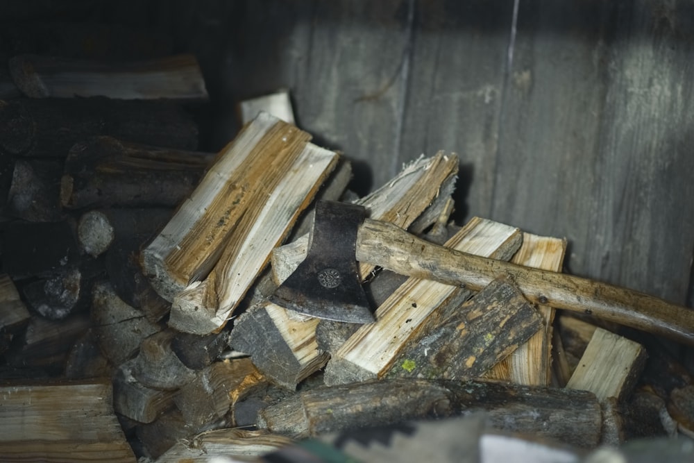 braune und graue Holzstämme