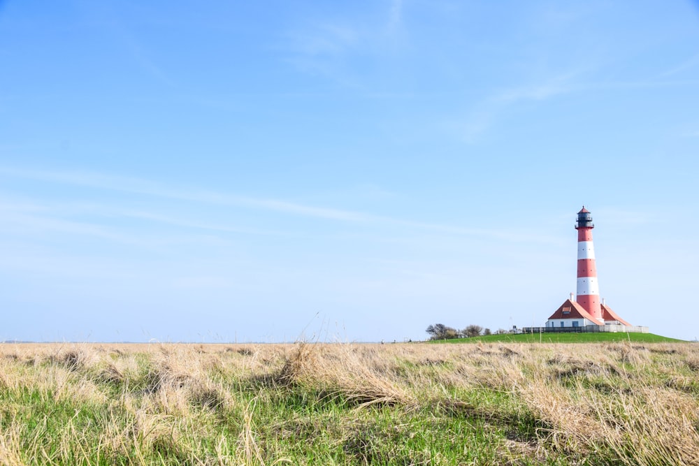 brown grass field under blue sky during daytime