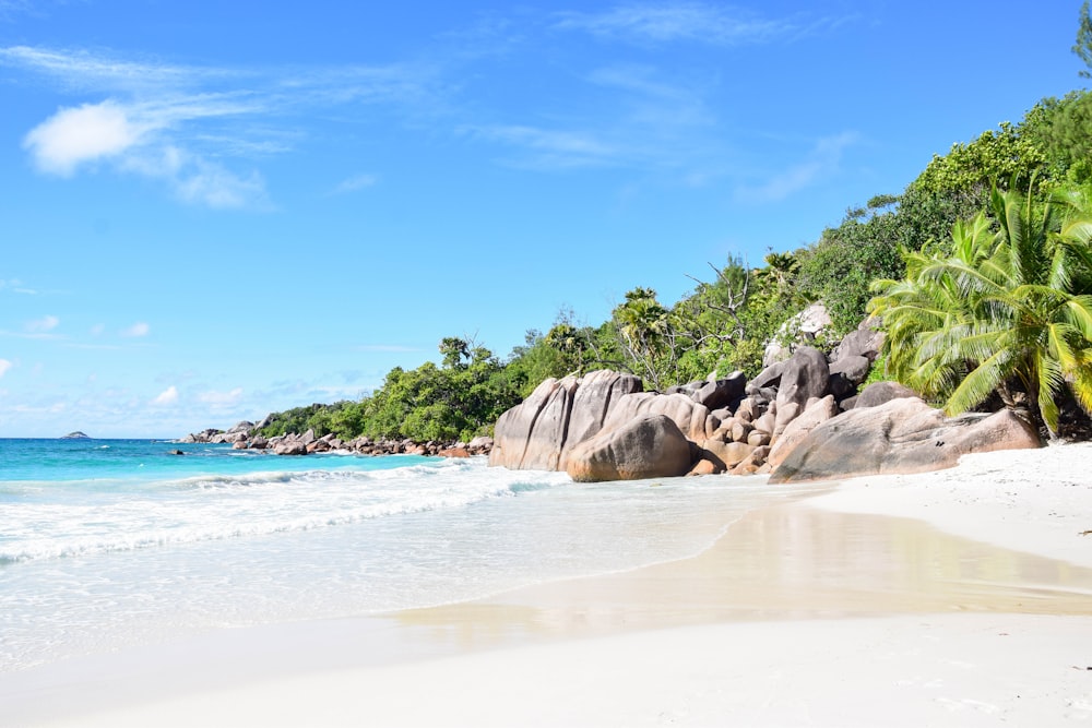 gray rocks on seashore during daytime