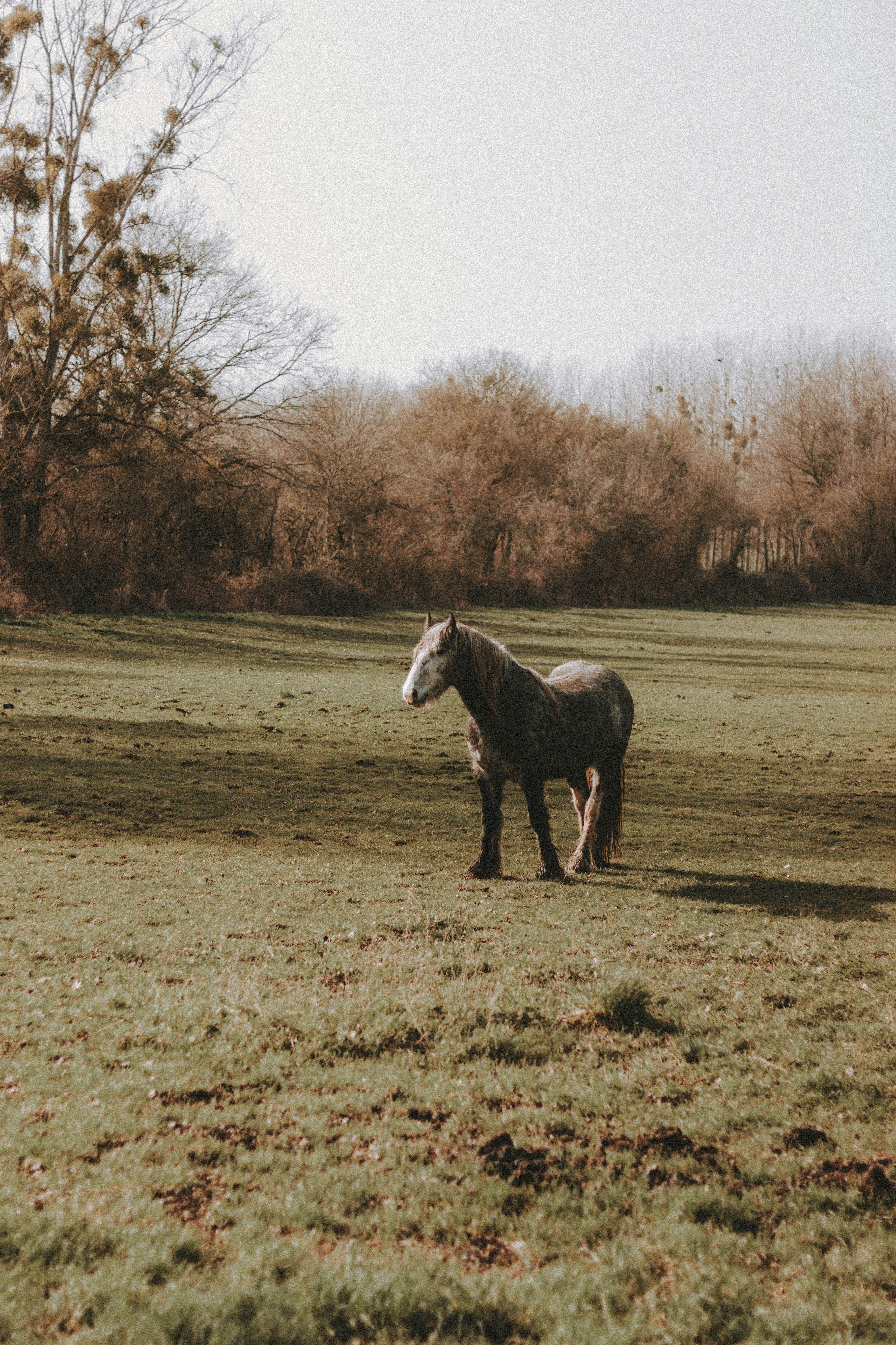 Photo by matreding