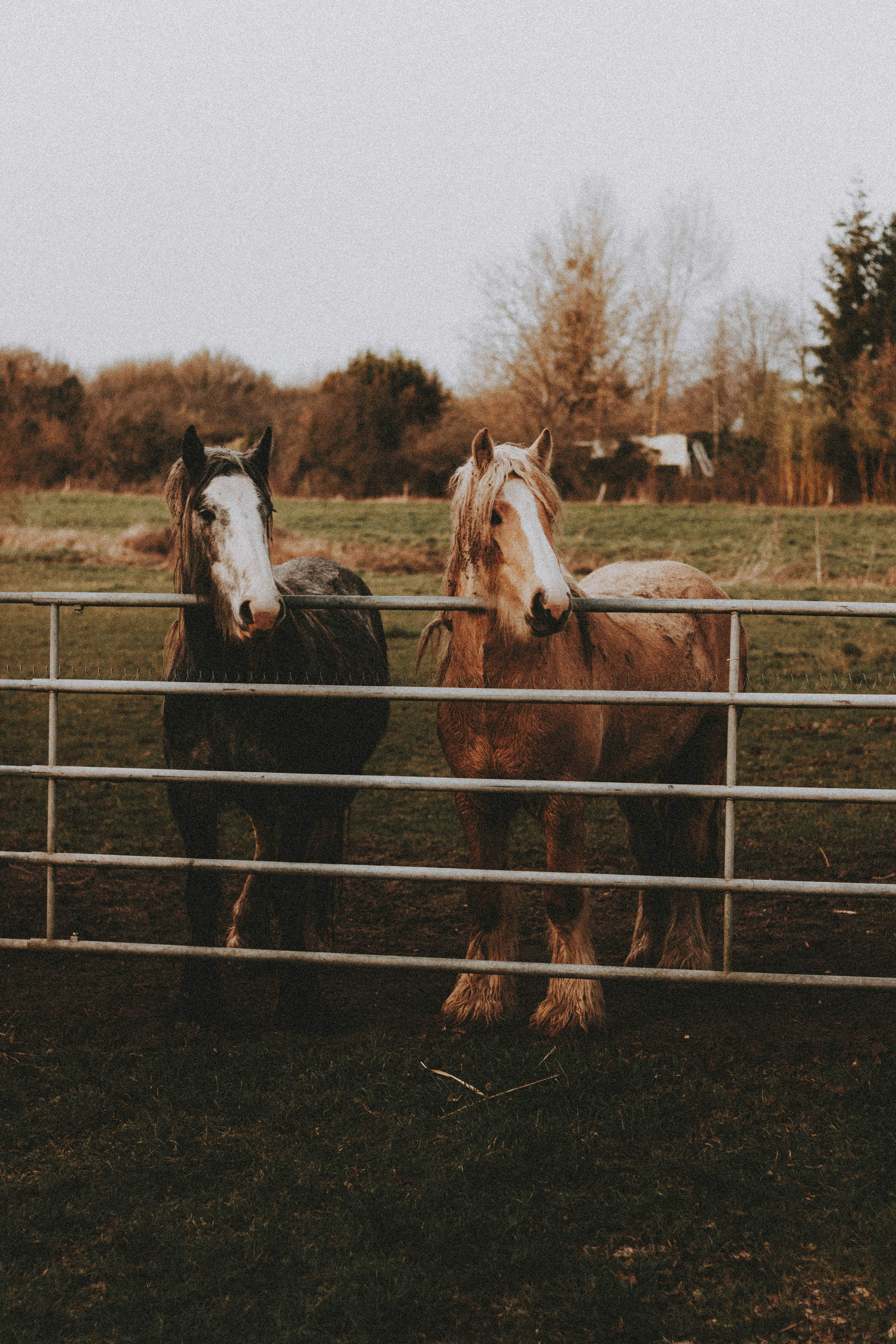 Photo by matreding