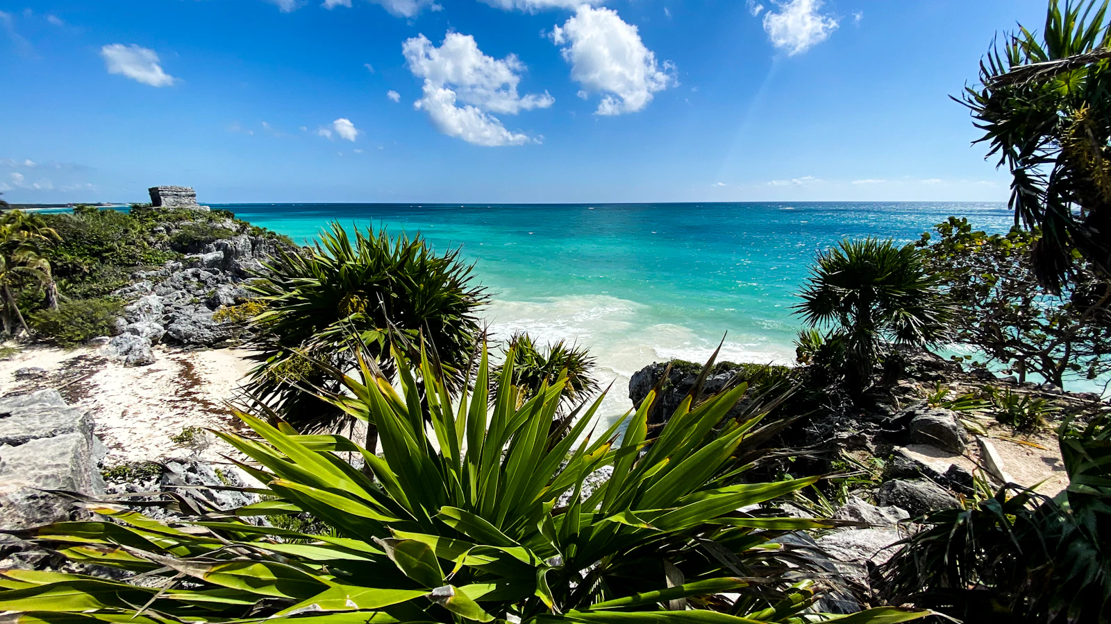 Waldorf Astoria Riviera Maya: Beachfront Among Jungle and Cenotes