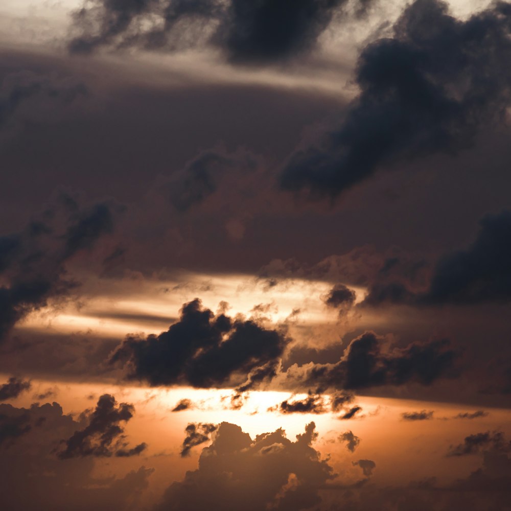 silhouette of birds flying under cloudy sky during daytime