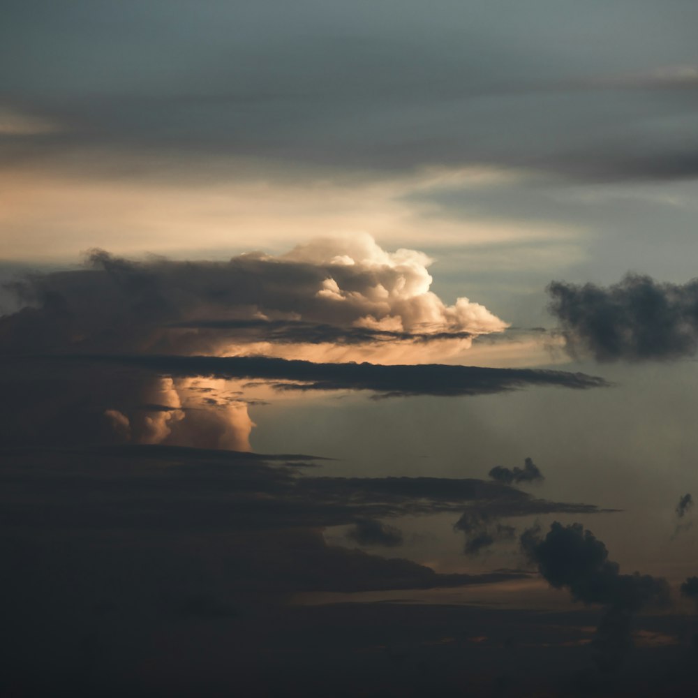 silhouette of trees under cloudy sky during daytime