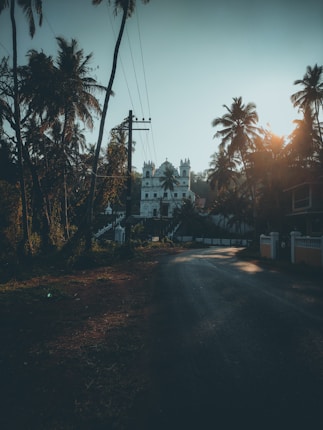 A serene road bordered by palm trees leads toward a white colonial-style building. Sunlight filters through the trees, casting gentle shadows across the path.
