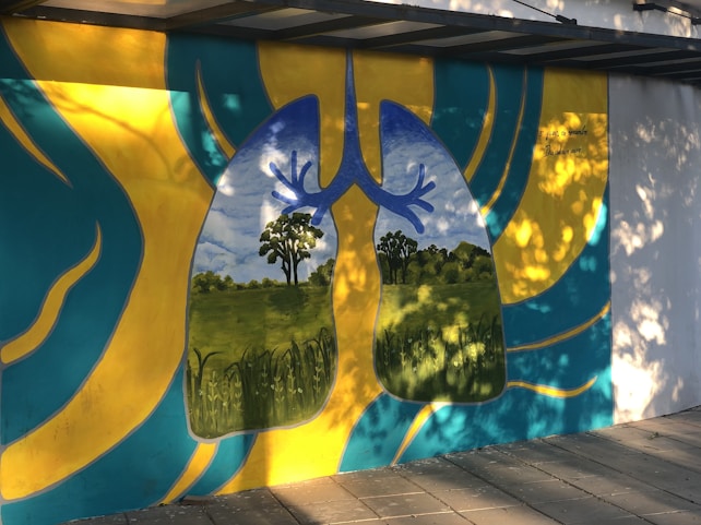 A vibrant mural depicting human lungs with a landscape inside them, representing trees and a blue sky as the inner structures. The surrounding area is painted with abstract patterns in yellow and teal. The mural is located on a paved walkway with dappled sunlight creating shadows.