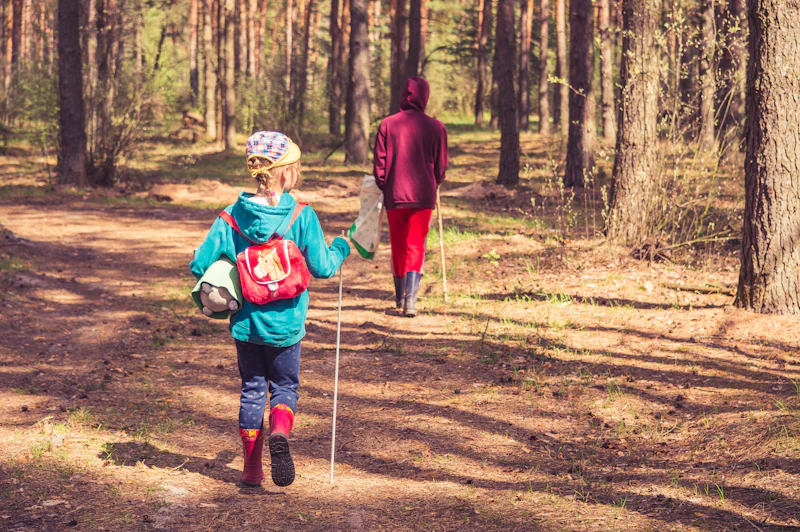 Forest trails winding through tall pine trees at camp