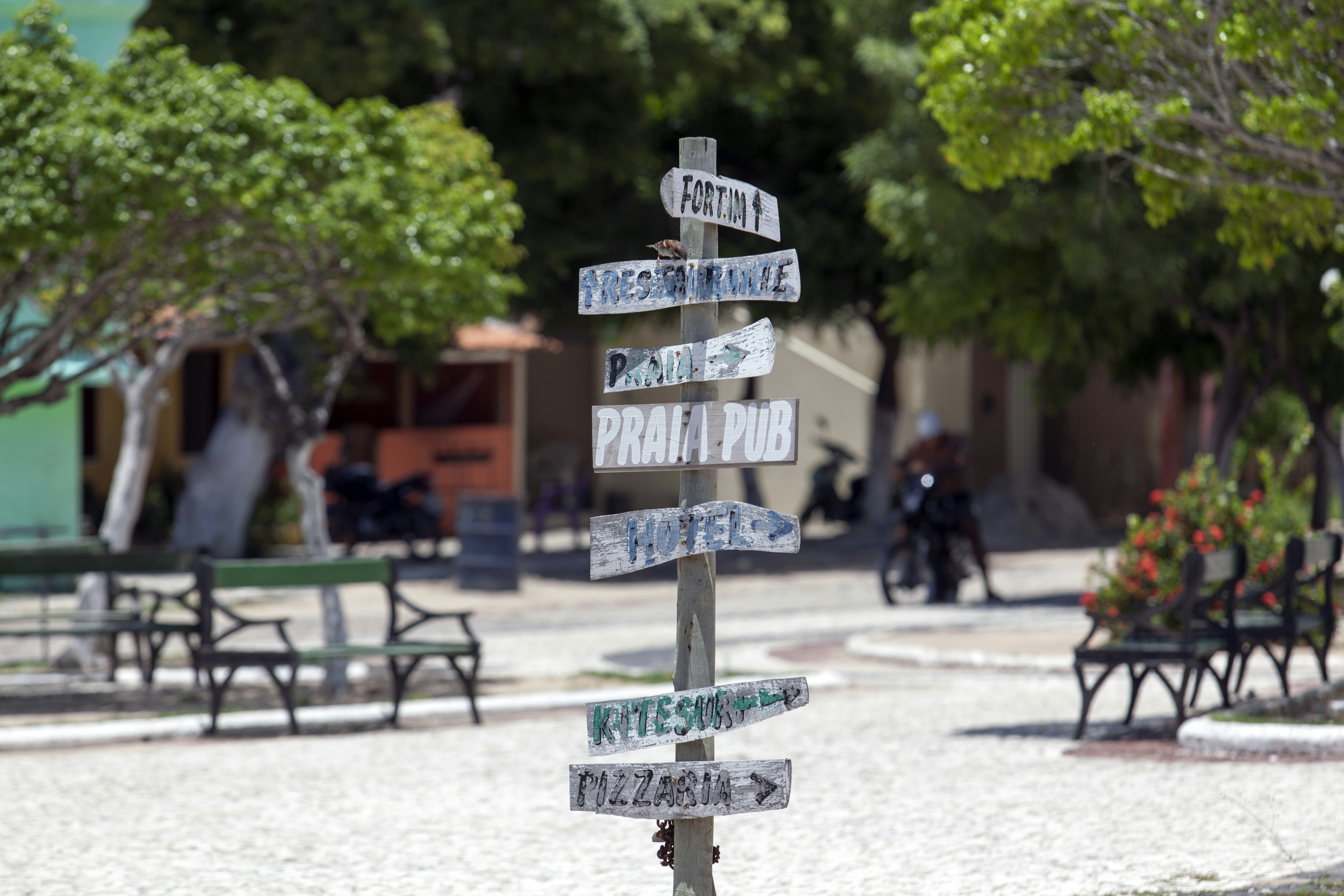 Como Escolher Informações Para Criar Textos Confiáveis