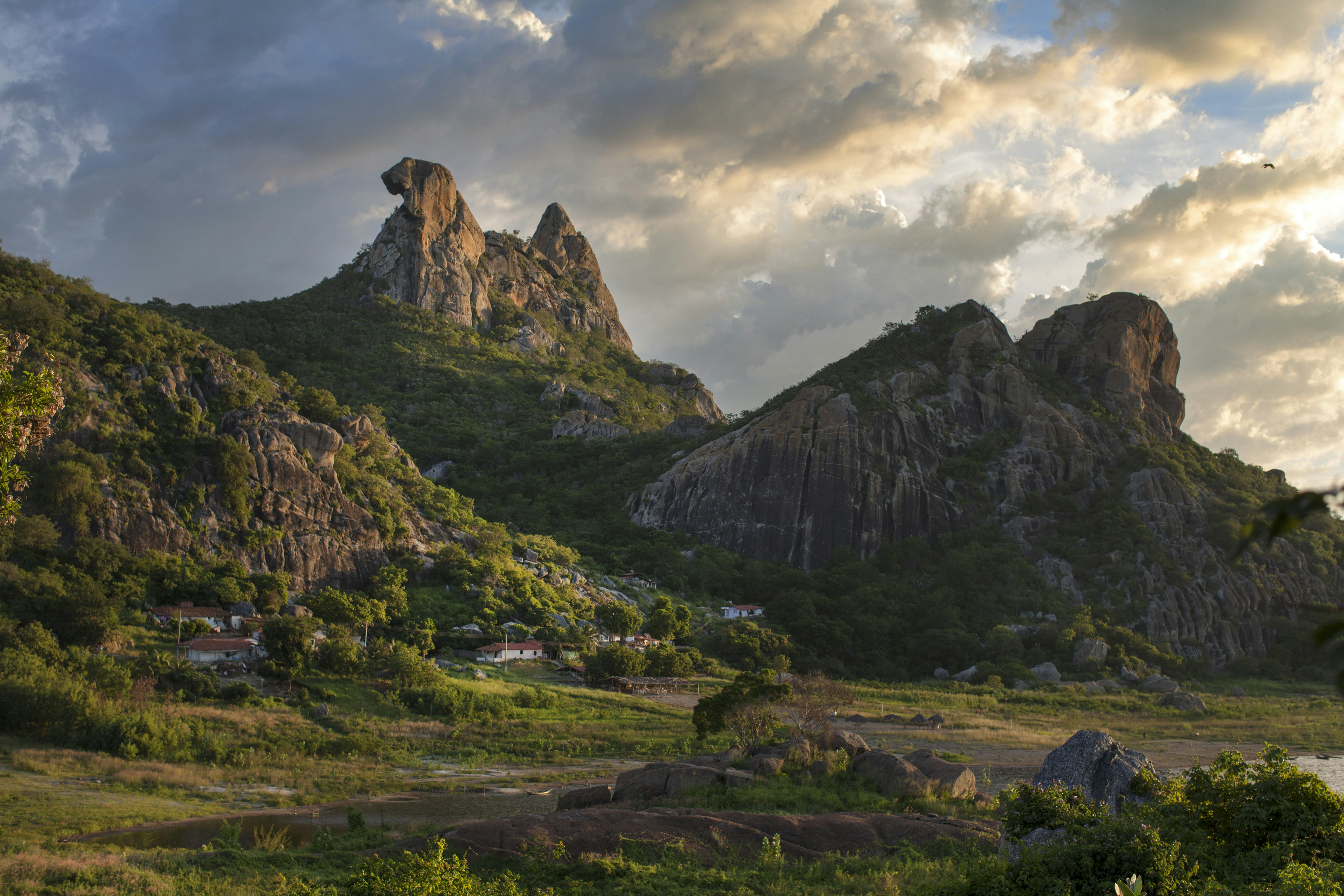 Photo by ricardodeavelar