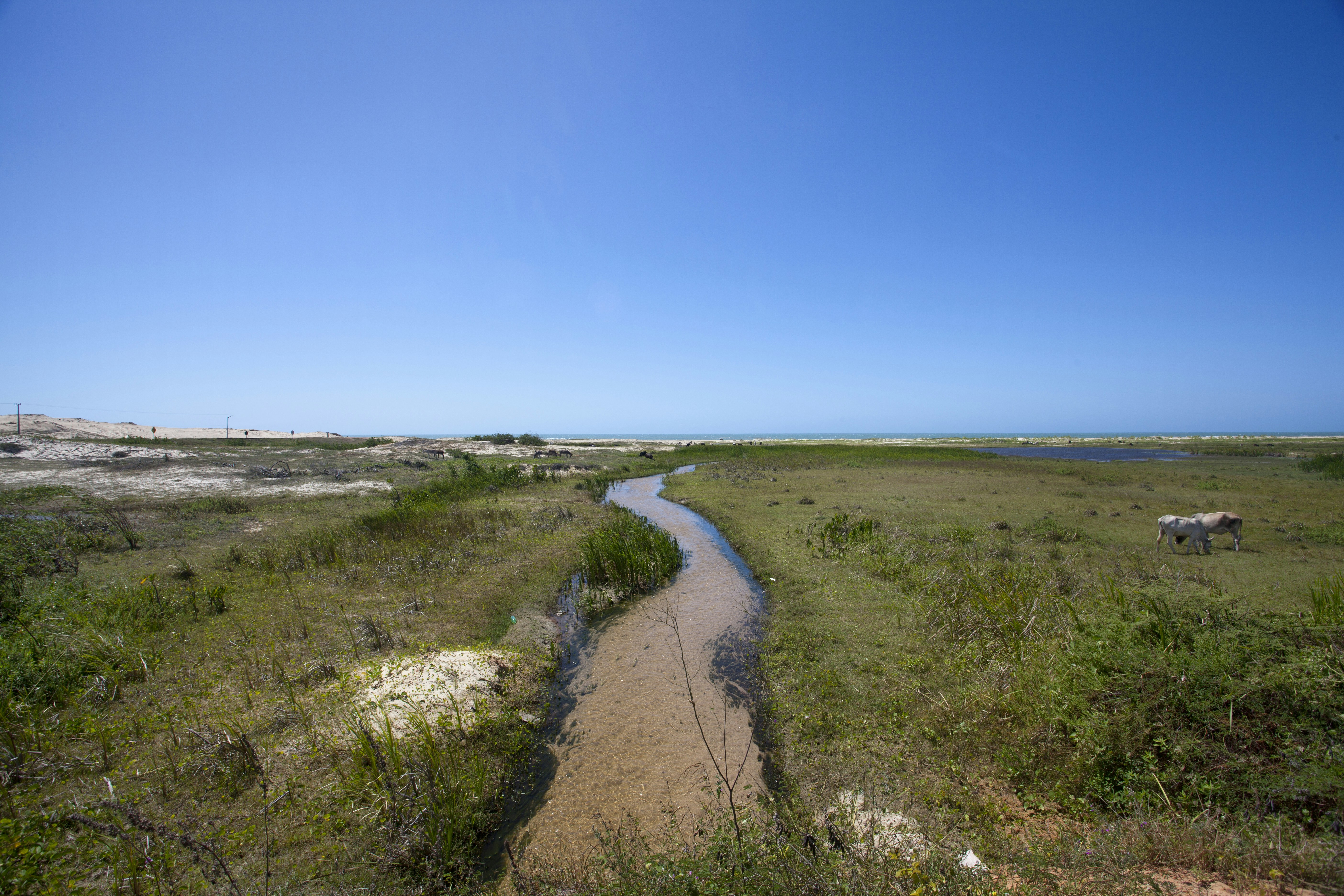 Photo by ricardodeavelar