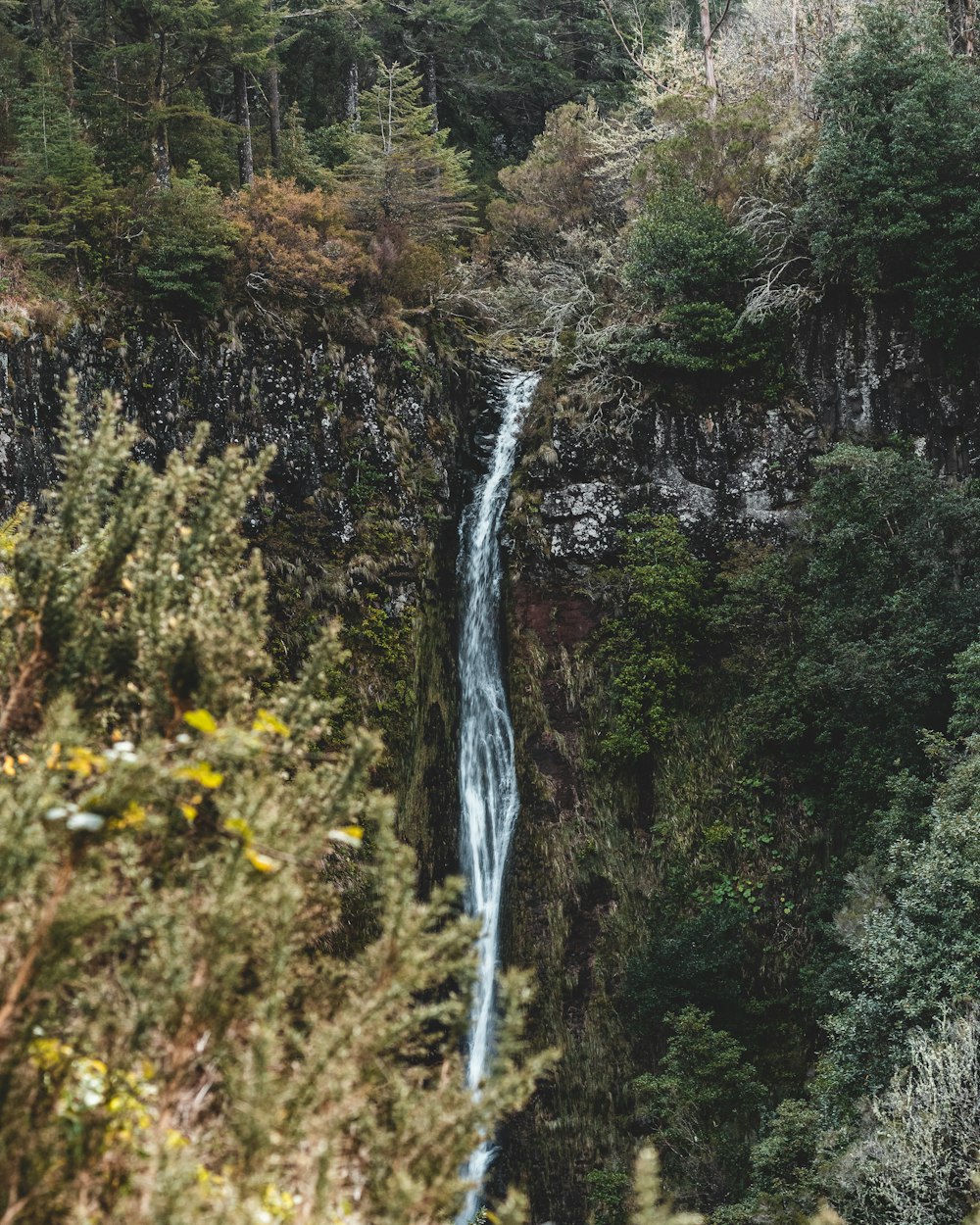 waterfalls in the middle of the forest