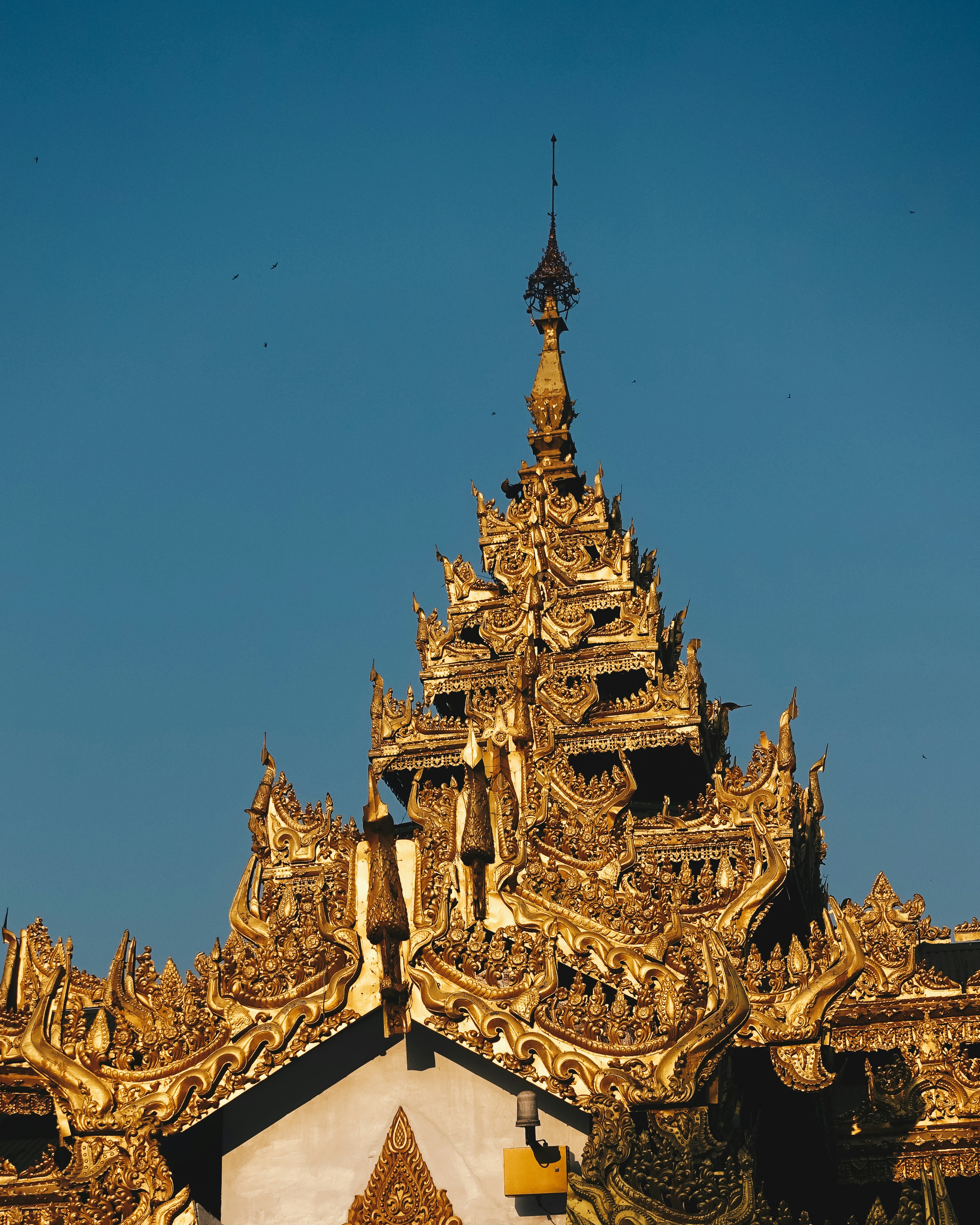 Photo by taddykingdom