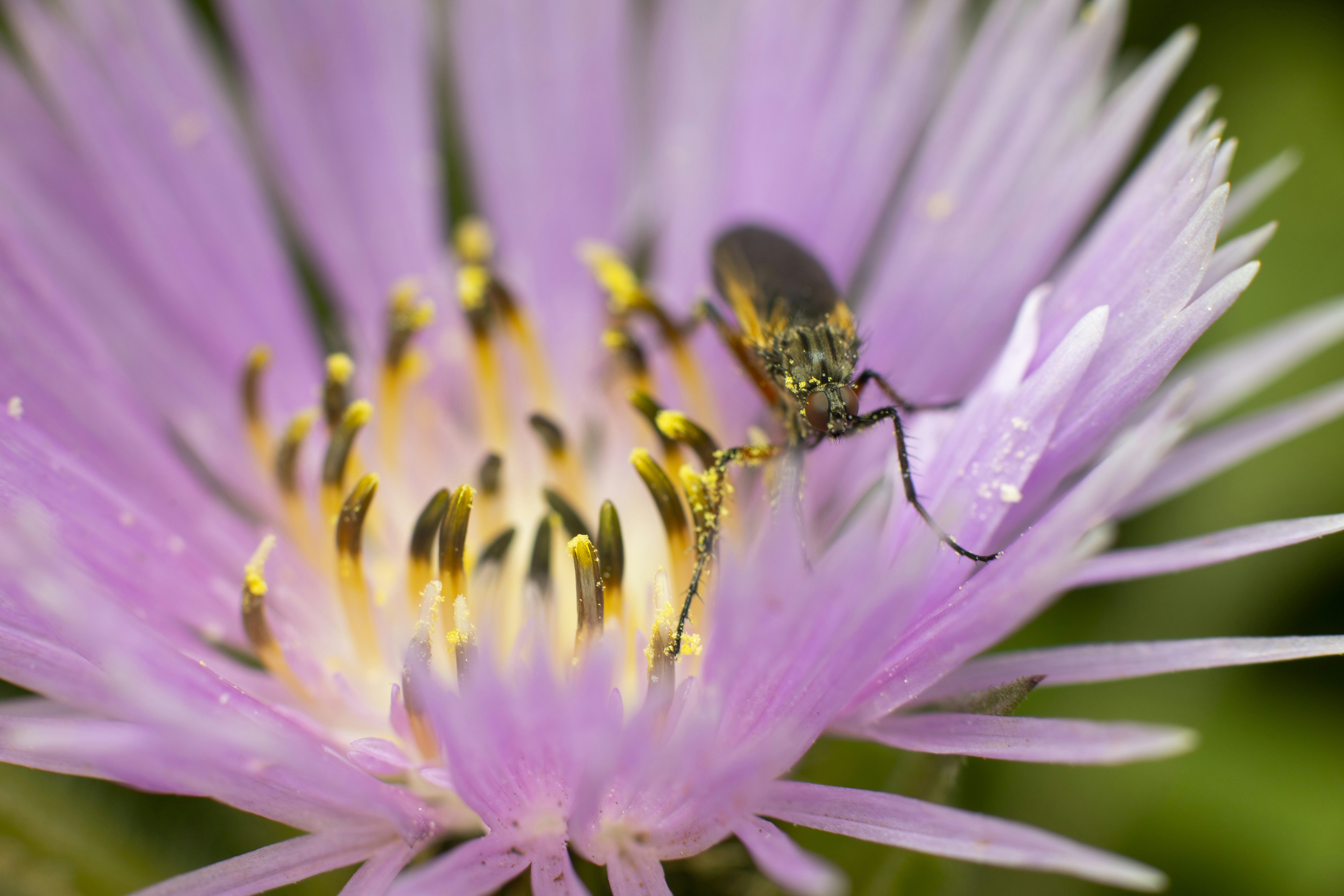 Photo by victor_vector