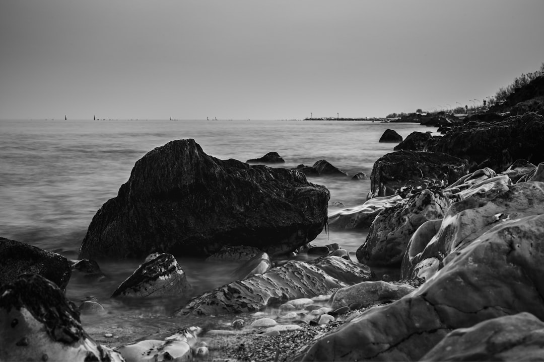 grayscale photo of rocky shore