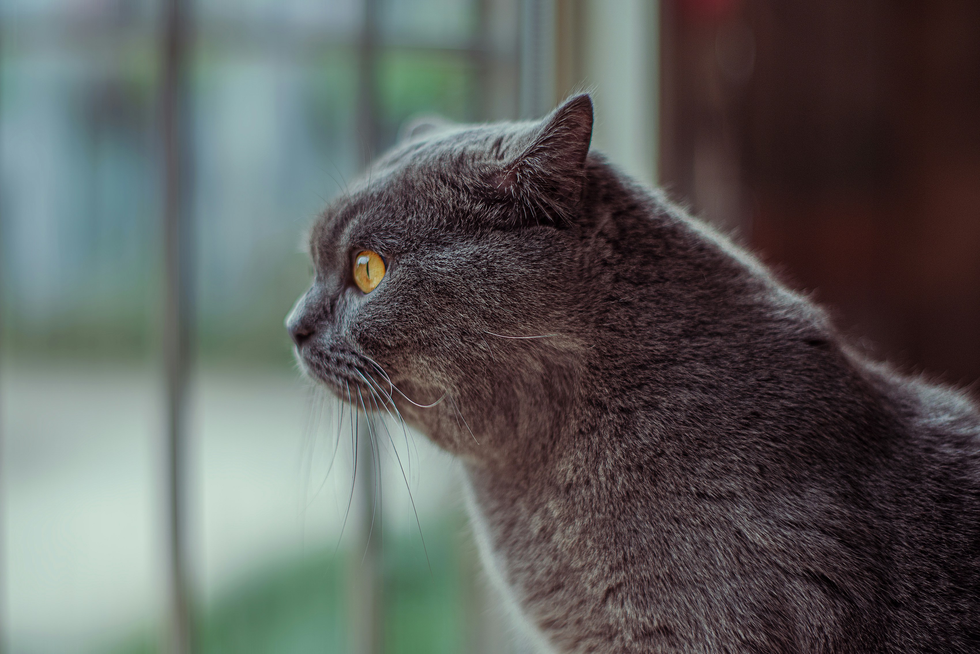 Photo by bigstarworkroom