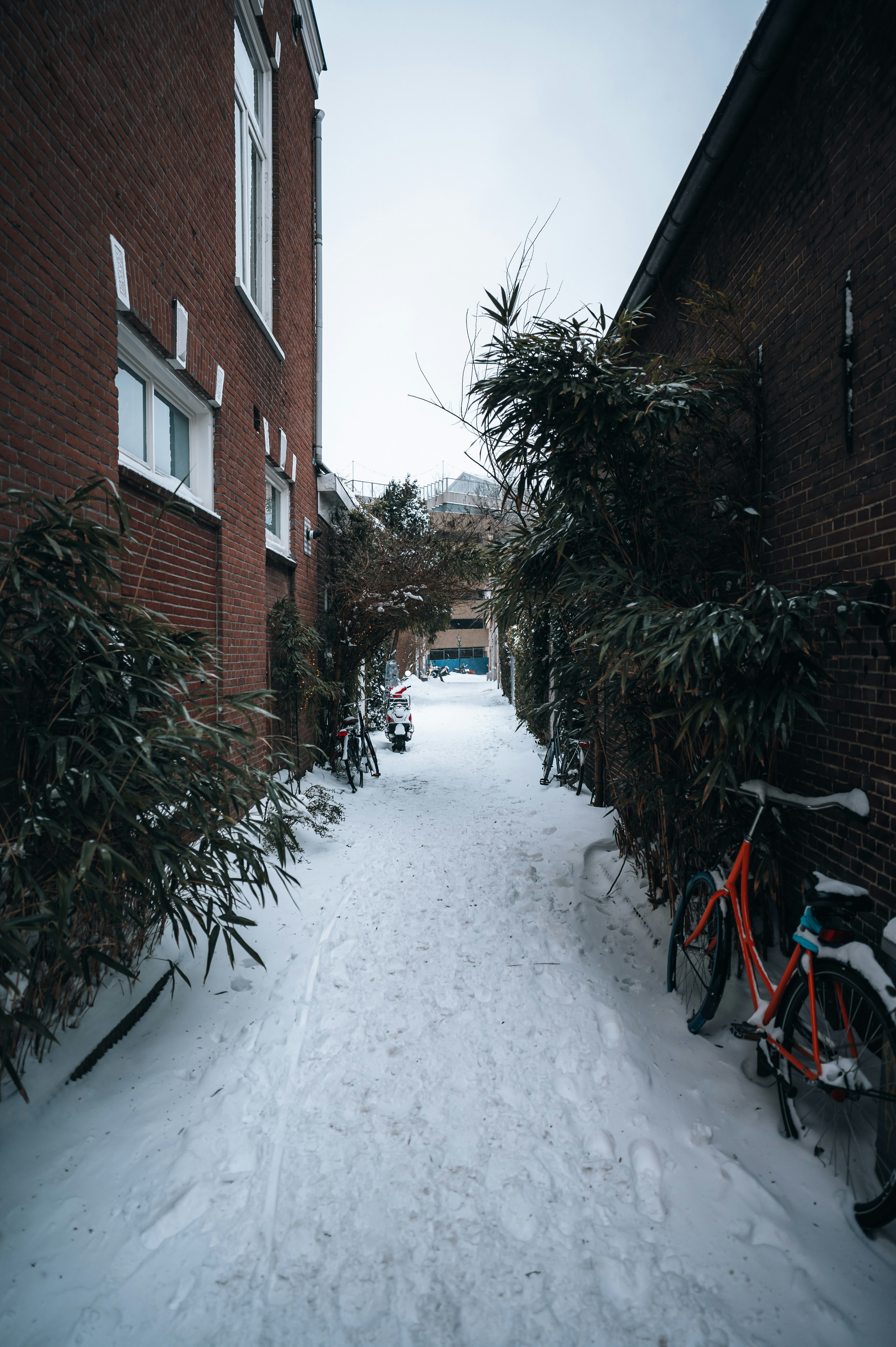 red brick building covered with snow