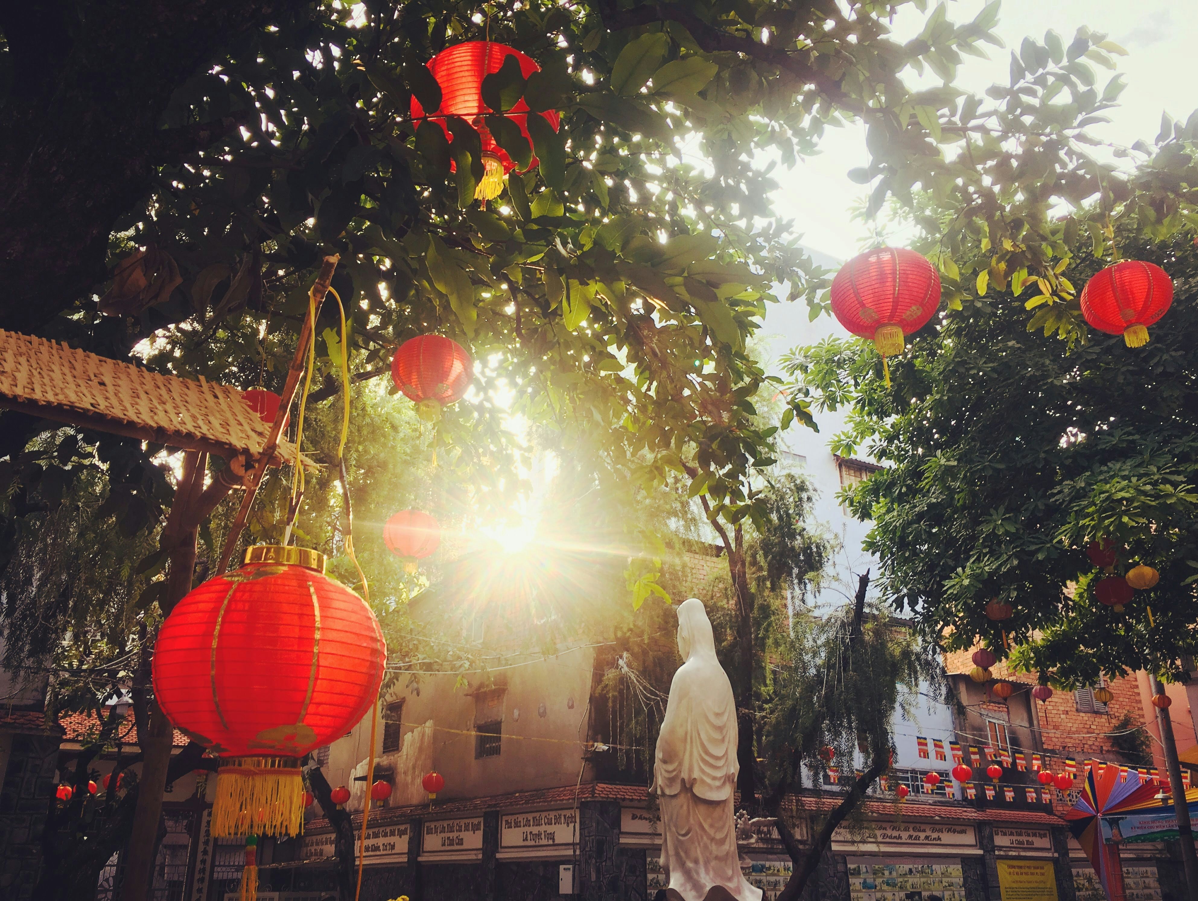 man in white thobe standing under green tree with orange and yellow balloons during daytime, 
