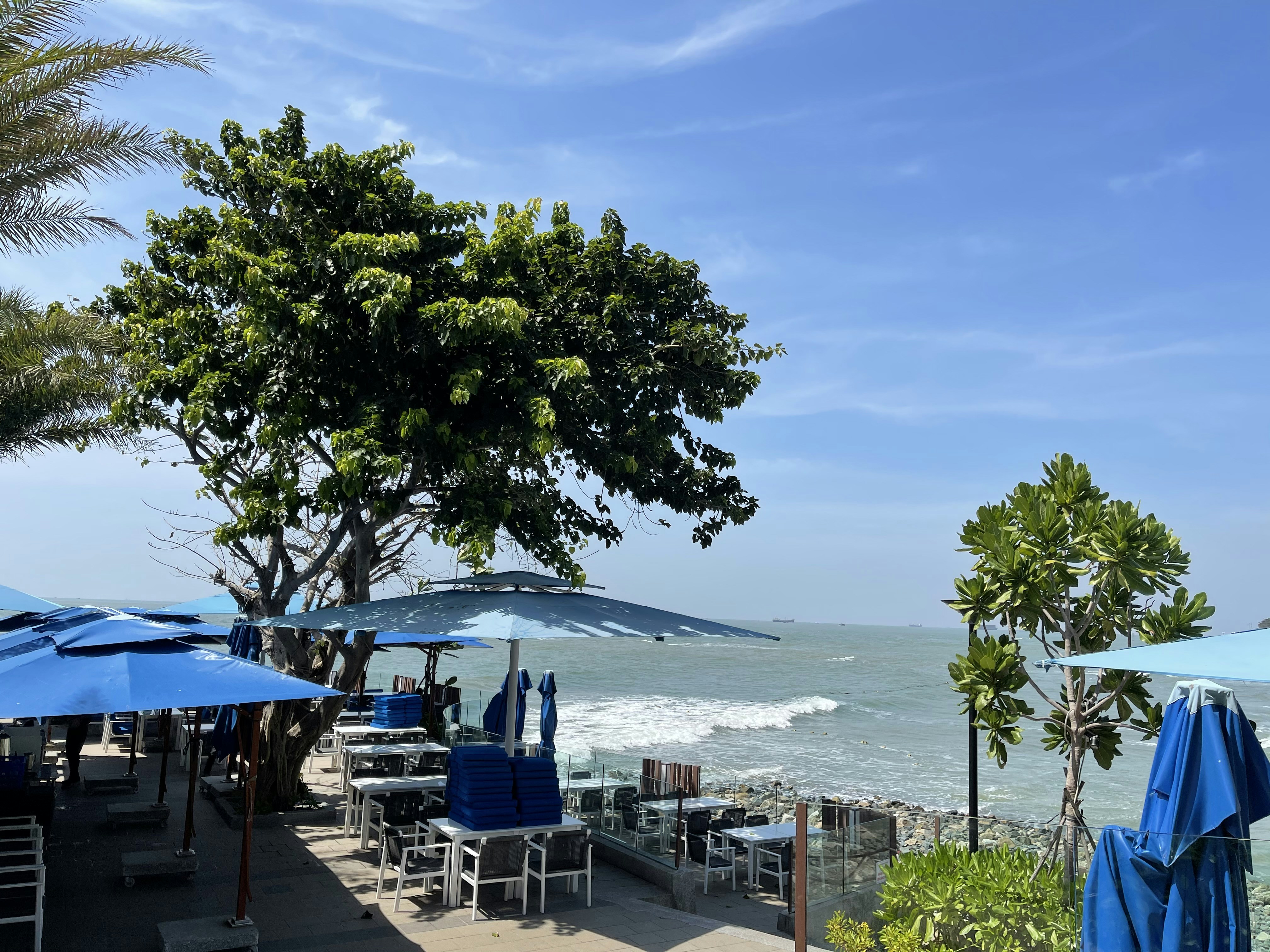 Vung Tau – Weather & Seasonal Patterns