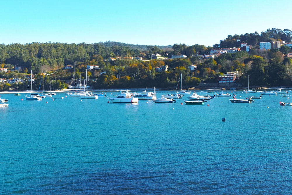 Bateaux blancs sur la mer pendant la journée