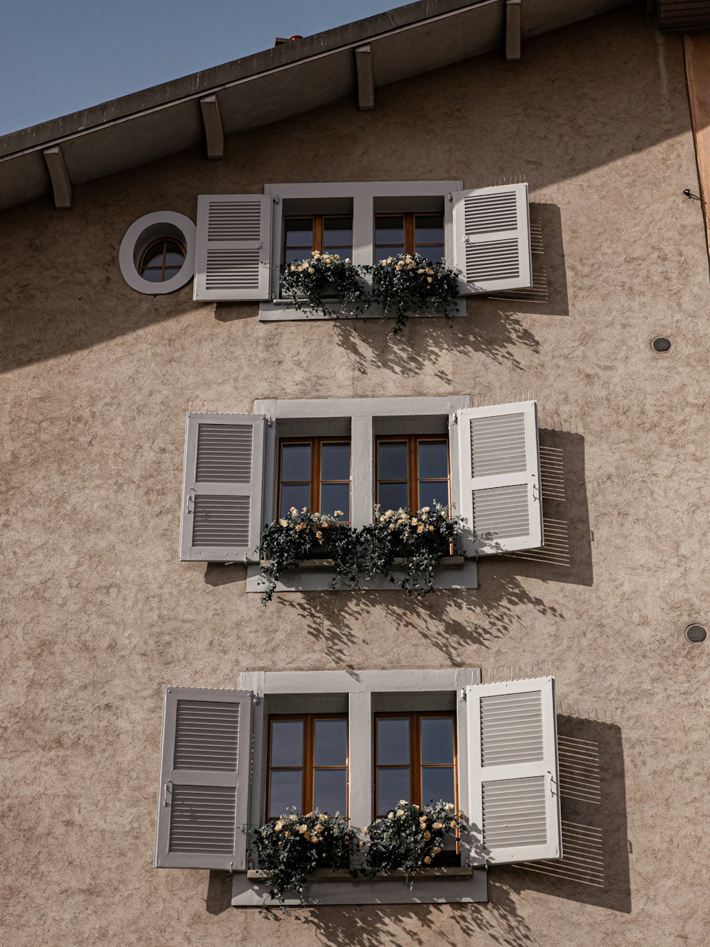 green plant on window during daytime