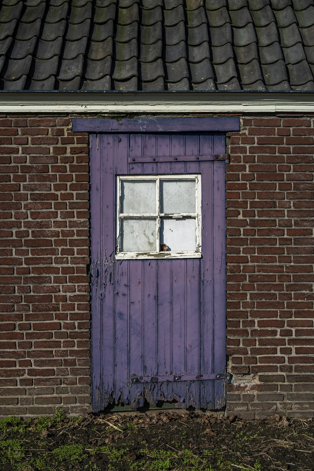 white wooden window on brown brick wall