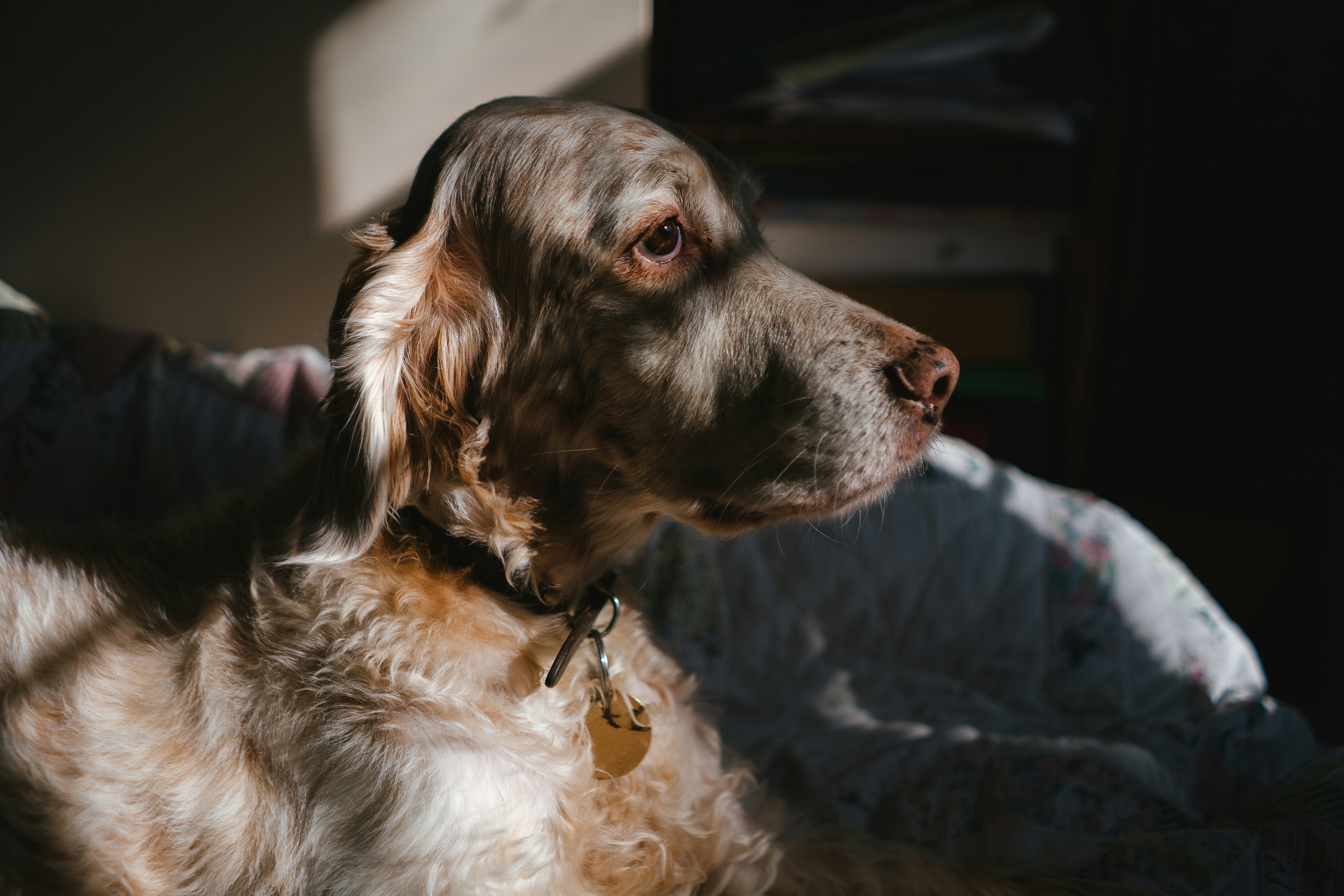 Photo by philhearing