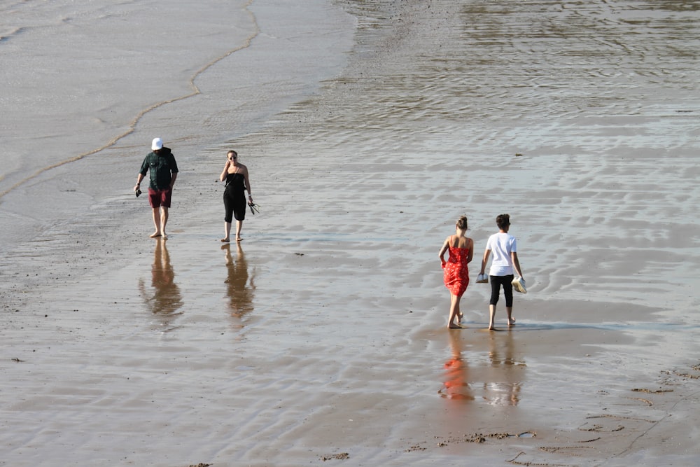 people walking on beach during daytime