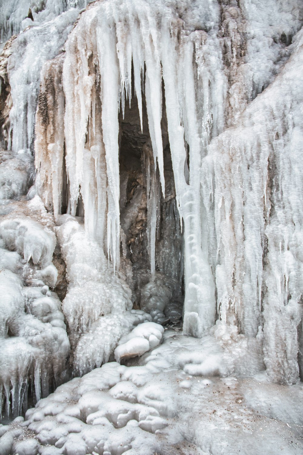 white ice on brown tree trunk