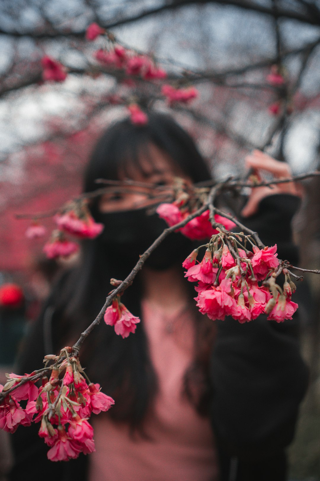 woman in black long sleeve shirt holding pink flower