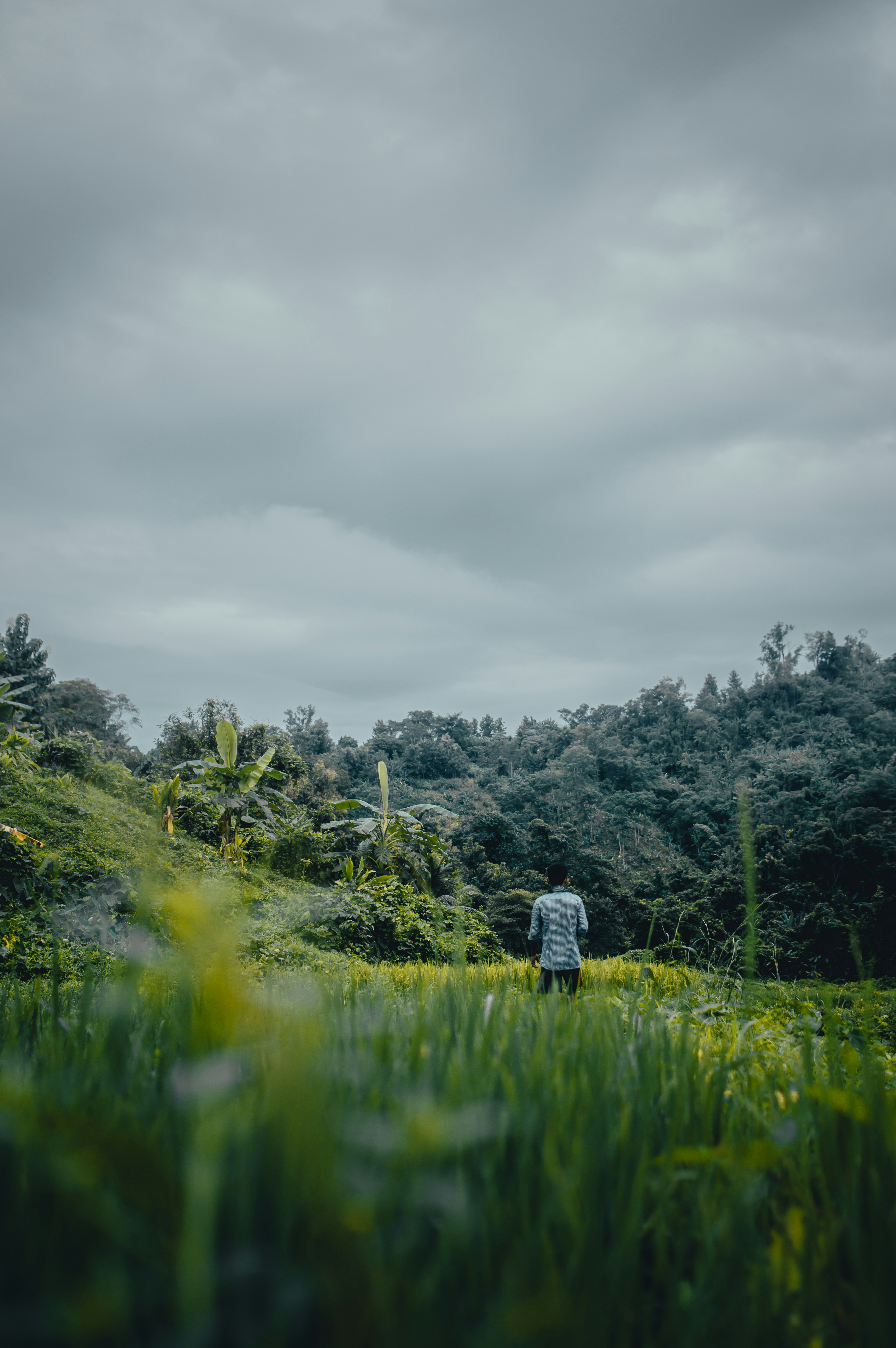 Photo by nishaan_ahmed