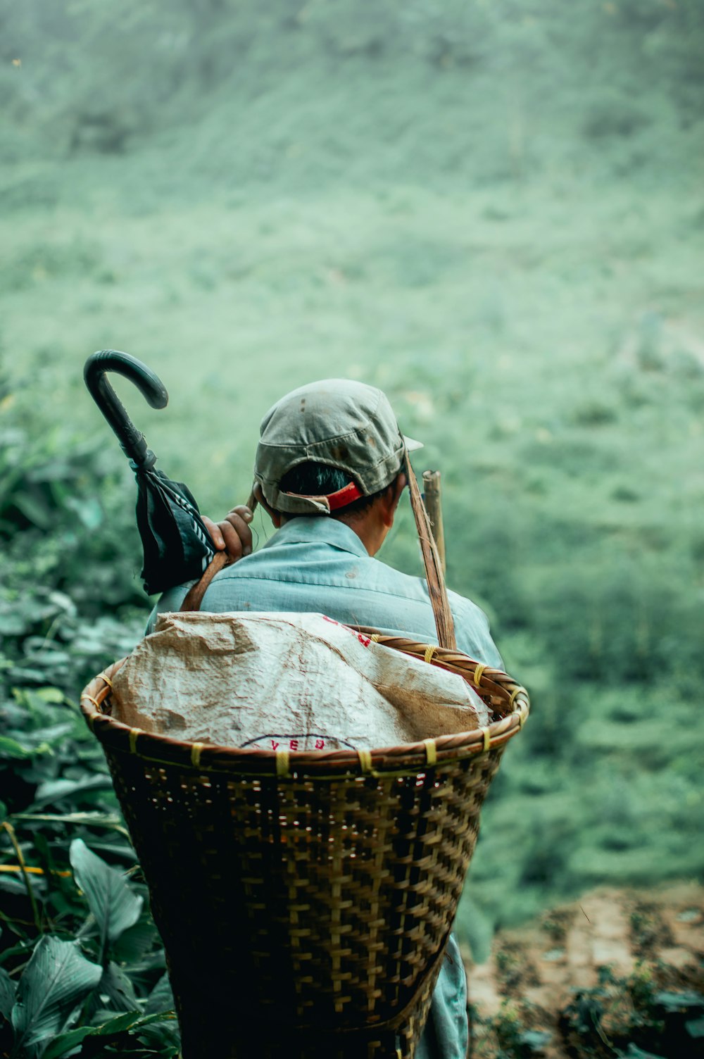 child in red jacket in brown woven basket