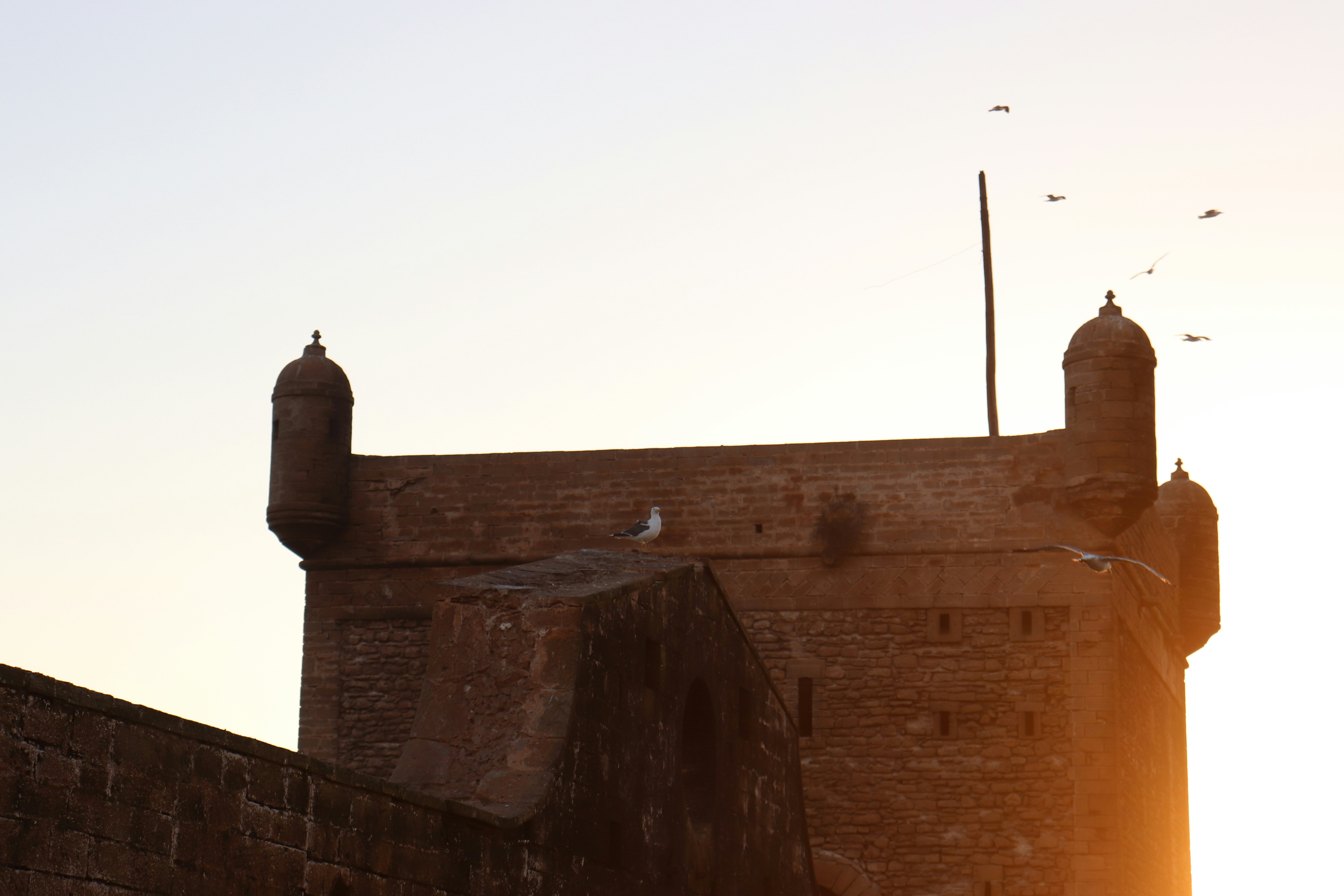 brown brick building under white sky during daytime, 