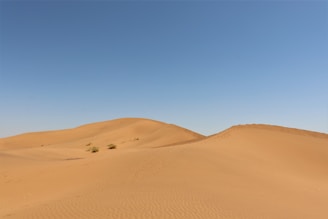 A panoramic view of a golden desert dune under a vast, cloudless sky.