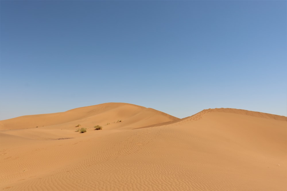 낮 동안 푸른 하늘 아래 갈색 모래
